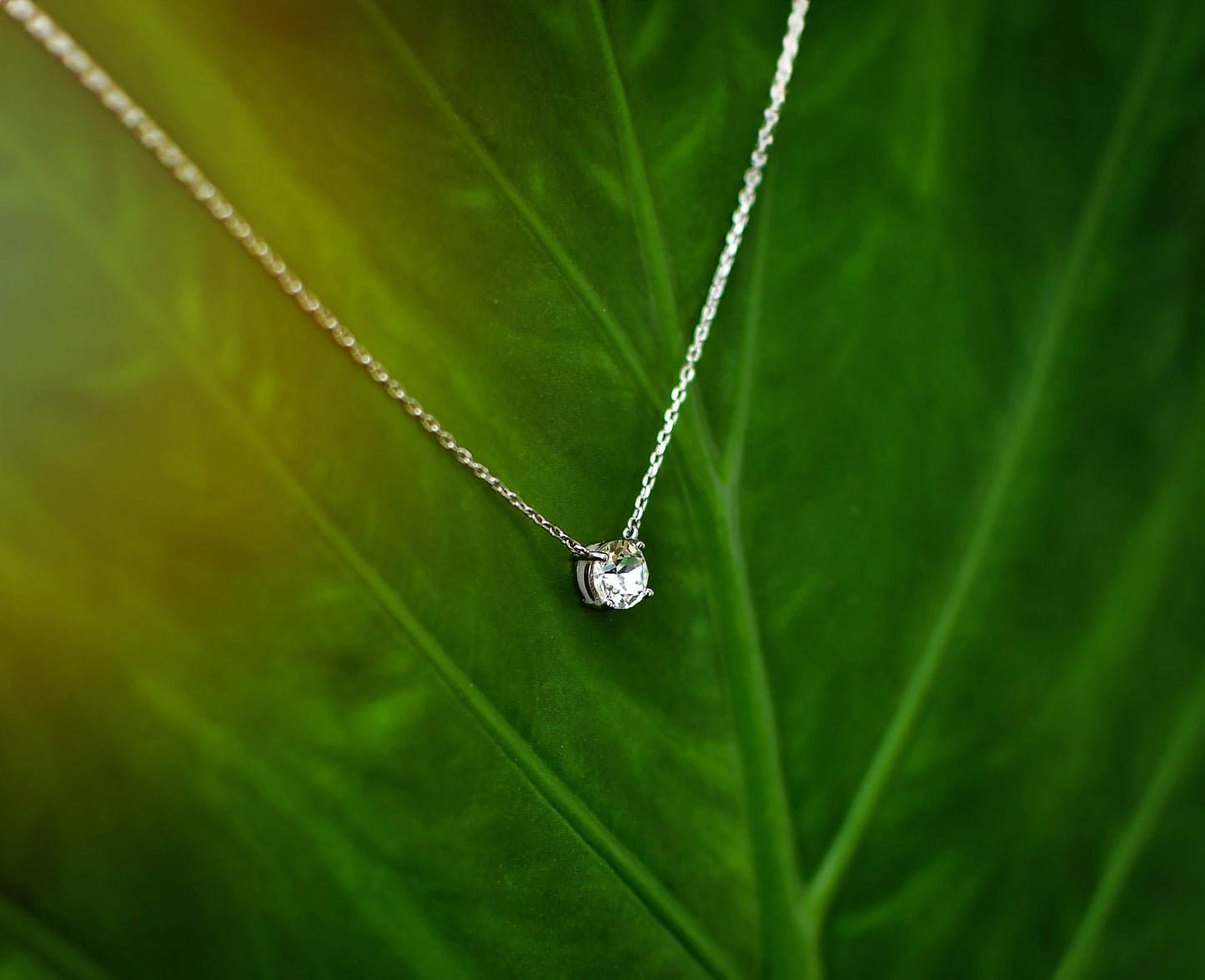 Moissanite single stone necklace