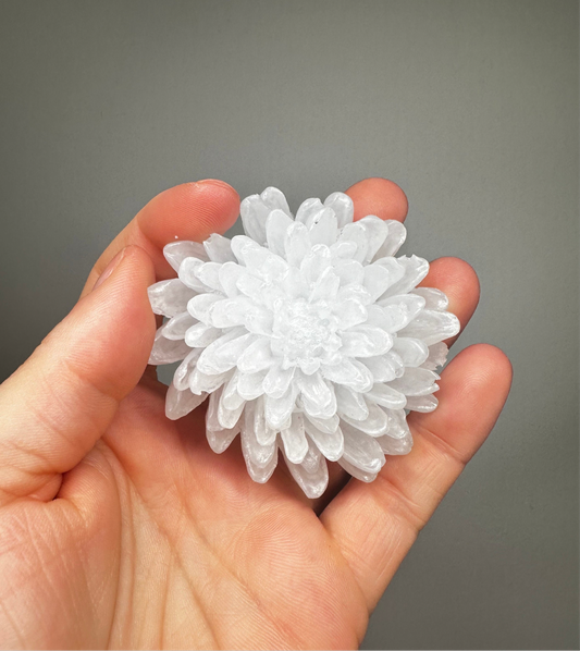 Chrysanthemum Flower