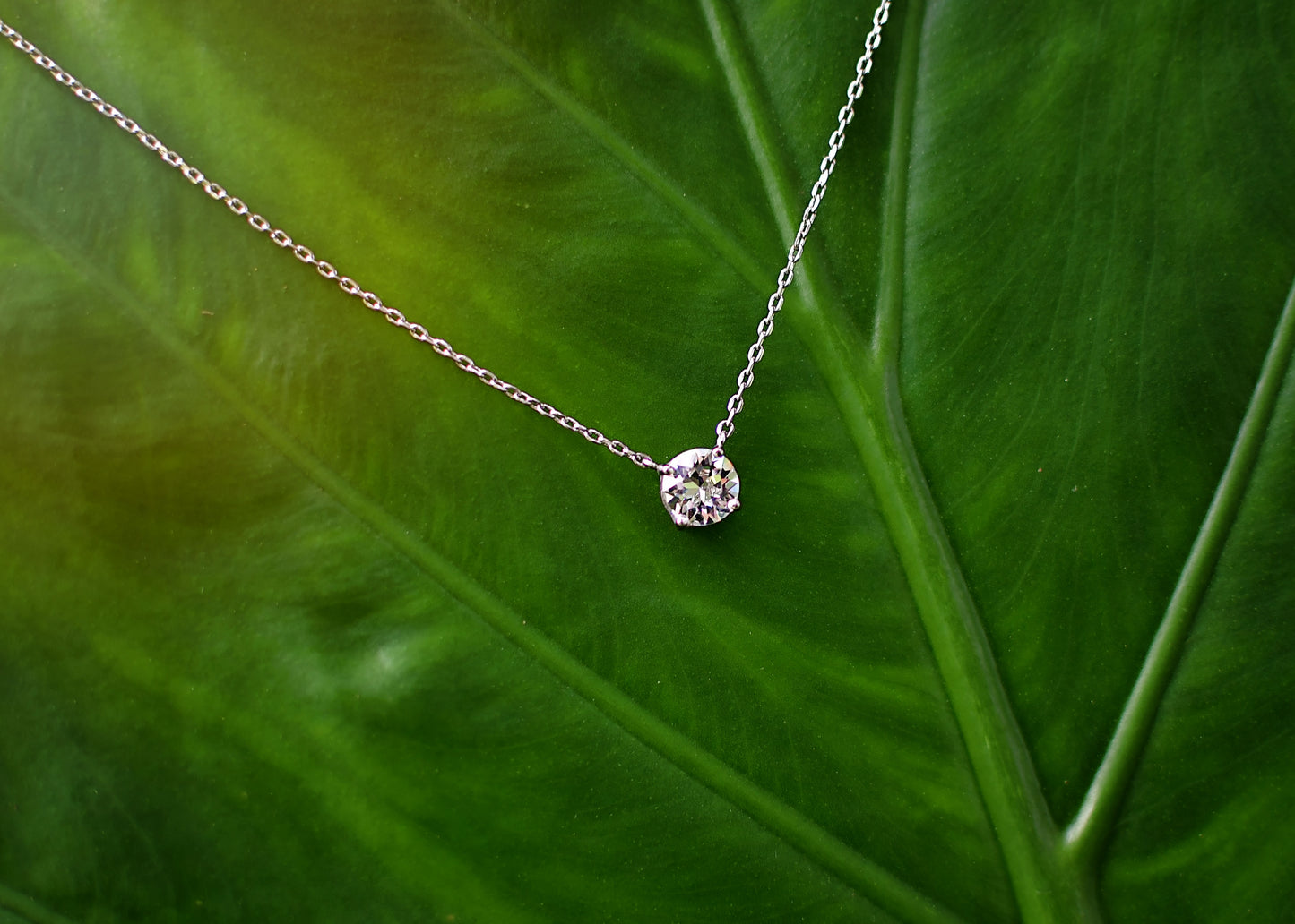 Moissanite single stone necklace